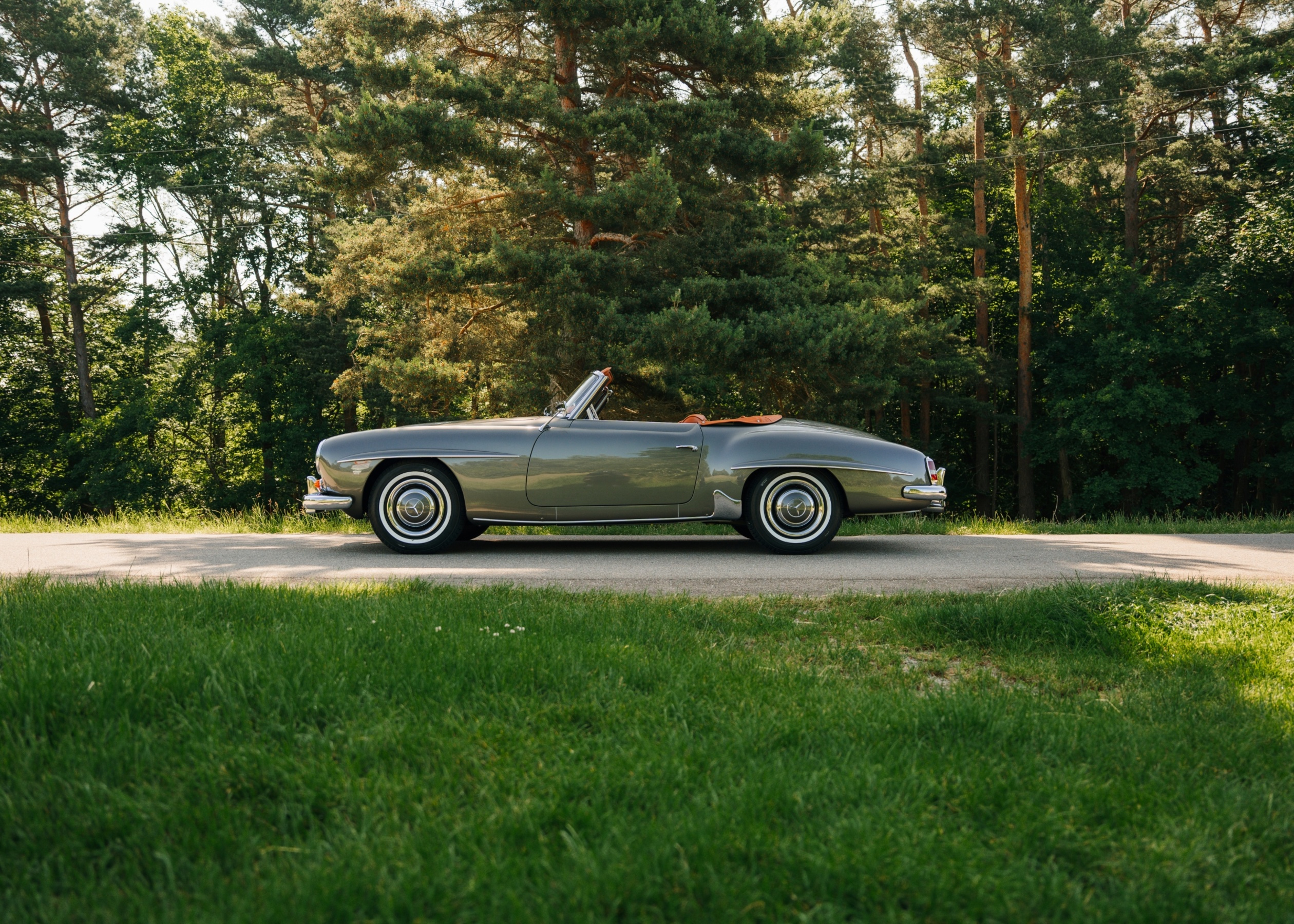 1690_190sl_db1726.jpg